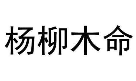 楊柳木命意思|楊柳木命是什麼意思？